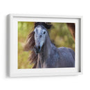 Caballo En El Campo I - Ozana Sturgeon | Cuadro decorativo de Canvas Lab