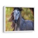 Caballo En El Campo I - Ozana Sturgeon | Cuadro decorativo de Canvas Lab