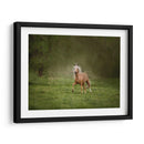 Caballo En El Campo Ii - Ozana Sturgeon | Cuadro decorativo de Canvas Lab