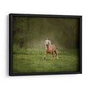 Caballo En El Campo Ii - Ozana Sturgeon | Cuadro decorativo de Canvas Lab