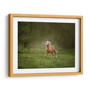 Caballo En El Campo Ii - Ozana Sturgeon | Cuadro decorativo de Canvas Lab