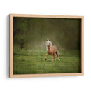 Caballo En El Campo Ii - Ozana Sturgeon | Cuadro decorativo de Canvas Lab