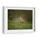 Caballo En El Campo Ii - Ozana Sturgeon | Cuadro decorativo de Canvas Lab