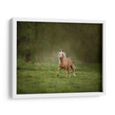 Caballo En El Campo Ii - Ozana Sturgeon | Cuadro decorativo de Canvas Lab