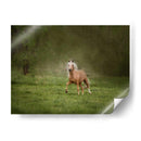 Caballo En El Campo Ii - Ozana Sturgeon | Cuadro decorativo de Canvas Lab