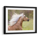 Caballo En El Campo Iii - Ozana Sturgeon | Cuadro decorativo de Canvas Lab