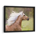 Caballo En El Campo Iii - Ozana Sturgeon | Cuadro decorativo de Canvas Lab