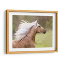 Caballo En El Campo Iii - Ozana Sturgeon | Cuadro decorativo de Canvas Lab