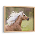 Caballo En El Campo Iii - Ozana Sturgeon | Cuadro decorativo de Canvas Lab