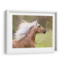 Caballo En El Campo Iii - Ozana Sturgeon | Cuadro decorativo de Canvas Lab