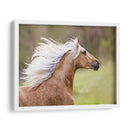 Caballo En El Campo Iii - Ozana Sturgeon | Cuadro decorativo de Canvas Lab