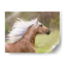 Caballo En El Campo Iii - Ozana Sturgeon | Cuadro decorativo de Canvas Lab