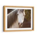 Caballo En El Campo Iv - Ozana Sturgeon | Cuadro decorativo de Canvas Lab