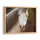 Caballo En El Campo Iv - Ozana Sturgeon | Cuadro decorativo de Canvas Lab