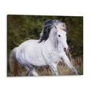 Caballo En El Campo V - Ozana Sturgeon | Cuadro decorativo de Canvas Lab