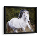 Caballo En El Campo V - Ozana Sturgeon | Cuadro decorativo de Canvas Lab