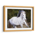 Caballo En El Campo V - Ozana Sturgeon | Cuadro decorativo de Canvas Lab