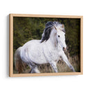 Caballo En El Campo V - Ozana Sturgeon | Cuadro decorativo de Canvas Lab