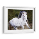 Caballo En El Campo V - Ozana Sturgeon | Cuadro decorativo de Canvas Lab