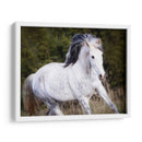 Caballo En El Campo V - Ozana Sturgeon | Cuadro decorativo de Canvas Lab