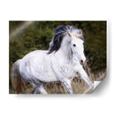 Caballo En El Campo V - Ozana Sturgeon | Cuadro decorativo de Canvas Lab