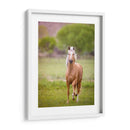 Caballo En El Campo Vi - Ozana Sturgeon | Cuadro decorativo de Canvas Lab