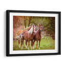 Caballos En El Campo I - Ozana Sturgeon | Cuadro decorativo de Canvas Lab