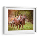 Caballos En El Campo I - Ozana Sturgeon | Cuadro decorativo de Canvas Lab