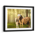 Caballos En El Campo Ii - Ozana Sturgeon | Cuadro decorativo de Canvas Lab