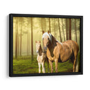 Caballos En El Campo Ii - Ozana Sturgeon | Cuadro decorativo de Canvas Lab