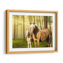 Caballos En El Campo Ii - Ozana Sturgeon | Cuadro decorativo de Canvas Lab