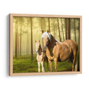 Caballos En El Campo Ii - Ozana Sturgeon | Cuadro decorativo de Canvas Lab