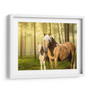 Caballos En El Campo Ii - Ozana Sturgeon | Cuadro decorativo de Canvas Lab