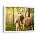 Caballos En El Campo Ii - Ozana Sturgeon | Cuadro decorativo de Canvas Lab