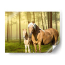 Caballos En El Campo Ii - Ozana Sturgeon | Cuadro decorativo de Canvas Lab