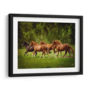 Caballos En El Campo Iii - Ozana Sturgeon | Cuadro decorativo de Canvas Lab