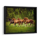 Caballos En El Campo Iii - Ozana Sturgeon | Cuadro decorativo de Canvas Lab