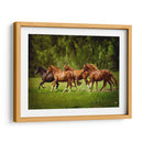 Caballos En El Campo Iii - Ozana Sturgeon | Cuadro decorativo de Canvas Lab