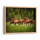 Caballos En El Campo Iii - Ozana Sturgeon | Cuadro decorativo de Canvas Lab