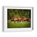 Caballos En El Campo Iii - Ozana Sturgeon | Cuadro decorativo de Canvas Lab