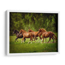 Caballos En El Campo Iii - Ozana Sturgeon | Cuadro decorativo de Canvas Lab