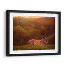 Potro En El Campo I - Ozana Sturgeon | Cuadro decorativo de Canvas Lab