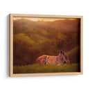 Potro En El Campo I - Ozana Sturgeon | Cuadro decorativo de Canvas Lab