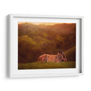 Potro En El Campo I - Ozana Sturgeon | Cuadro decorativo de Canvas Lab