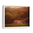 Potro En El Campo I - Ozana Sturgeon | Cuadro decorativo de Canvas Lab