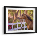 Flor Frolick I - Ozana Sturgeon | Cuadro decorativo de Canvas Lab