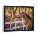 Flor Frolick I - Ozana Sturgeon | Cuadro decorativo de Canvas Lab