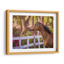 Flor Frolick I - Ozana Sturgeon | Cuadro decorativo de Canvas Lab