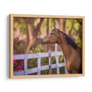 Flor Frolick I - Ozana Sturgeon | Cuadro decorativo de Canvas Lab