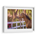 Flor Frolick I - Ozana Sturgeon | Cuadro decorativo de Canvas Lab